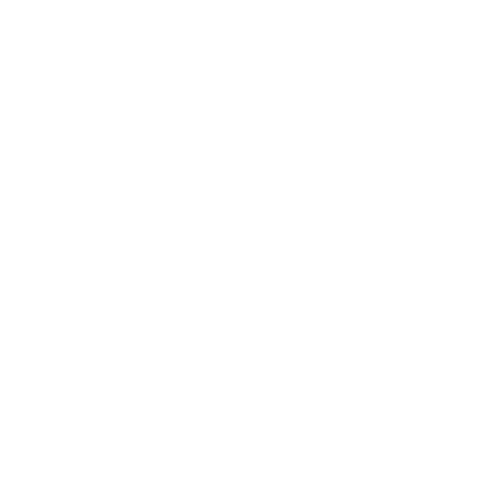 ALTITUDE experience